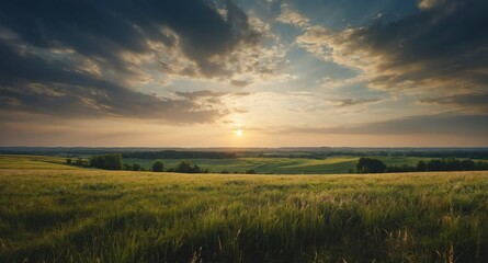 Fototapeta premium empty summer landscape banner copyspace background