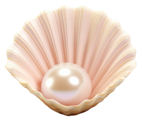 PNG Sea shell pearl seashell jewelry. AI generated Image by rawpixel.