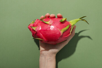 One whole dragon fruit in hand on green background, top view