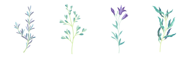 Blue Flowers on Stem as Meadow or Field Plant Vector Set