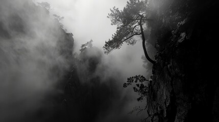 Within the dense fog shadowy forms glided effortlessly through the canyon their movements mysterious and haunting