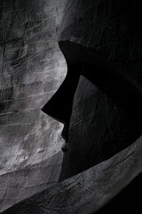 Silhouette Secret: Mysterious Profile Carved in Darkness