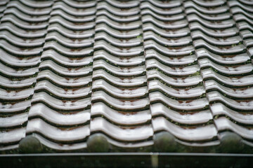 雨に濡れた古民家の屋根瓦