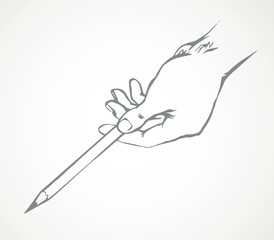 Hand points with a pencil. Vector drawing