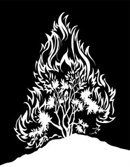 Burning bush. Vector drawing icon