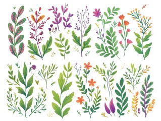 set of floral elements