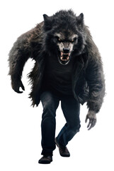 Obraz premium PNG Photography mammal animal bear.