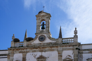 Störche habe ihr Nest auf dem Kirchturm eingerichtet in der Hauptstadt der Algarve