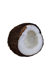 coconut on white background