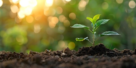Promoting Sustainable Practices in Corporate Governance and Environmental Stewardship through ESG Principles. Concept Environmental Sustainability, Corporate Governance, ESG Principles