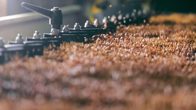 A close-up image of wheat grains being processed through agricultural machinery. The grains are in motion, highlighting the dynamic process of sorting and handling.