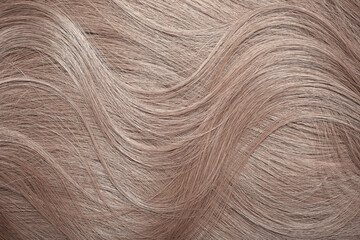 Blond hair close-up as a background. Women's long light brown hair. Beautifully styled wavy shiny...