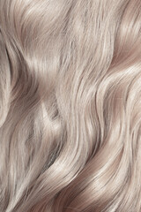 Naklejka premium Blond hair close-up as a background. Women's long light brown hair. Beautifully styled wavy shiny curls. Hair coloring. Hairdressing procedures, extension.