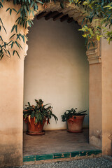 wall with window and plants