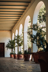 Interior of a castle