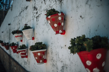 Spanish street with flowers