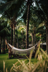 hammock on the beach