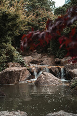 river in the park