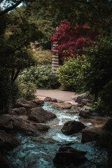 waterfall in the woods