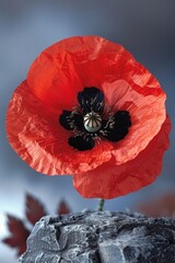 Honoring fallen heroes  close up of red poppy on solemn war memorial, a touching tribute