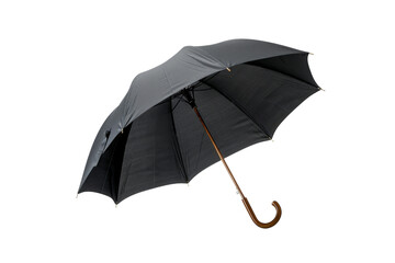 Black Umbrella with Wooden Handle