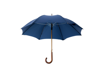 Blue Umbrella with Wooden Handle