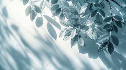 A white wall with blurred foliage shadows on a minimalist light background. Beautiful background for presentation.
