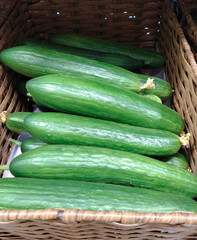 Vegetables, green cucumbers on supermarket shelves. Retail industry. Local Farmers market. Discount. harvest. Grocery store. Healthy products. Food suppliers. Greenhouse. Inflation concept. Selling.