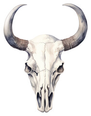 PNG Animal mammal cattle bull. 