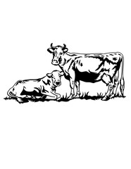 Cow and Calf | Dairy Cow | Farm Cow | Cow Portrait | Cow’s Milk   | Farm Owner | Cow Eating Grass| Original Illustration | Vector and Clipart | Cutfile and Stencil