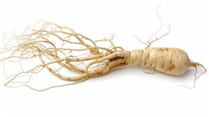 ginseng roots Isolated on white background. cooking ingredients for healthful food concept for designer