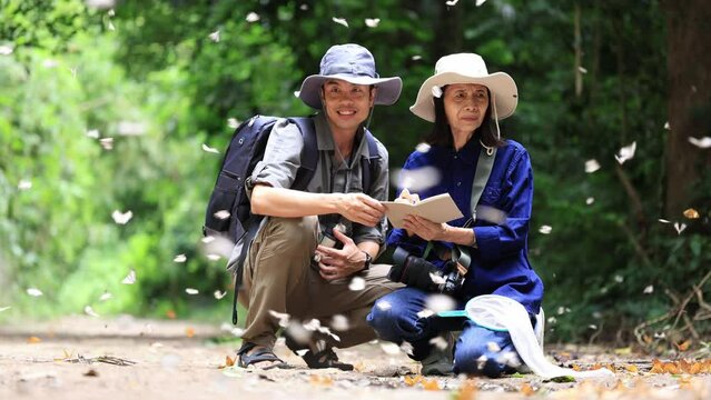 Asian biologist team is collecting data in forest field study of mud puddling phenomenon butterflies sapping on salt and mineral during summer on mating season for tropical rainforest wild entomology