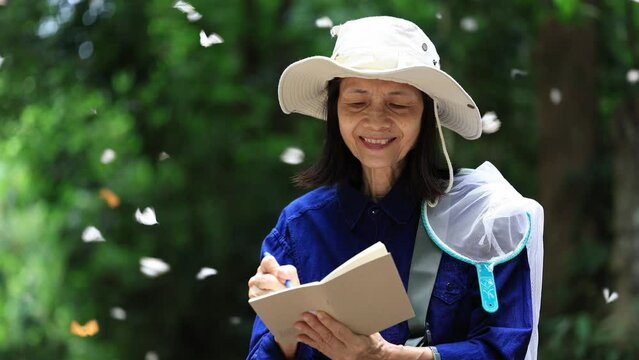 Asian biologist is collecting data in forest field study of mud puddling phenomenon butterflies sapping on salt and mineral during summer on mating season for tropical rainforest wild entomology