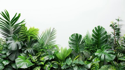 Vibrant lush green plants, radiating life in an elegant display against a pristine white backdrop