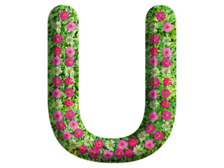 3d of alphabet U, design made from flowers, leaves and green grass on transparent background