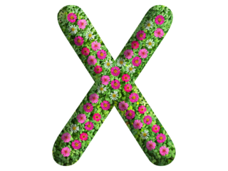 3d of alphabet X, design made from flowers, leaves and green grass on transparent background