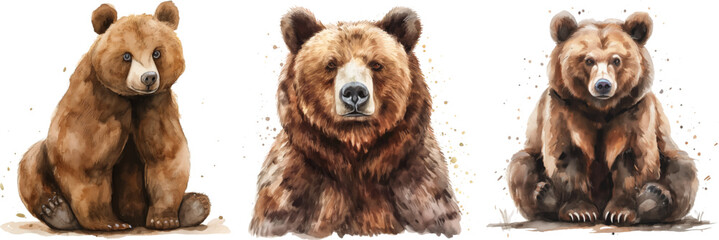 Watercolor bear clipart, watercolor illustration
