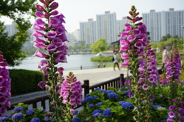 봄날의 꽃들이 피어 아릅답습니다