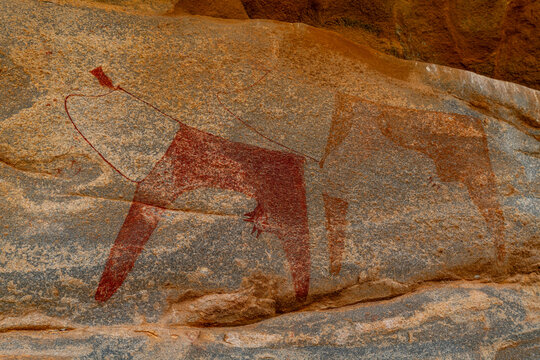 Rock art paintings of Laas Geel, near Hargeisa, Somaliland, Somalia
