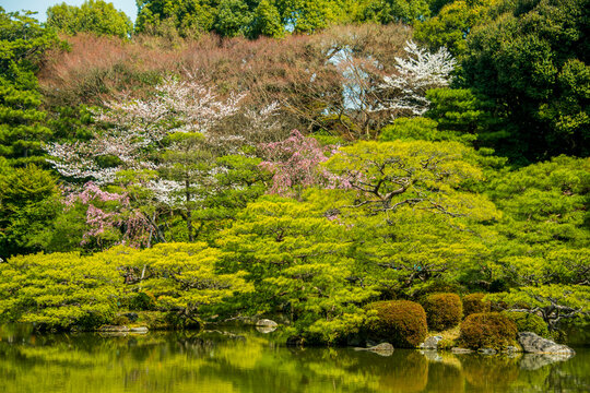 Okazaki Park in the Heian Jingu Shrine, Kyoto, Honshu