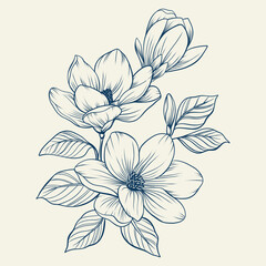 Magnolia flowers drawing with line-art