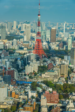 View over Tokyo with the Tokyo Tower, from the Mori Tower, Roppongi Hills, Tokyo, Honshu