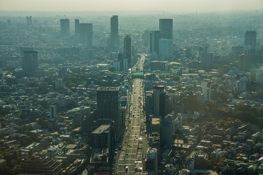 Hazy view over Tokyo from the Mori Tower, Roppongi Hills, Tokyo, Honshu