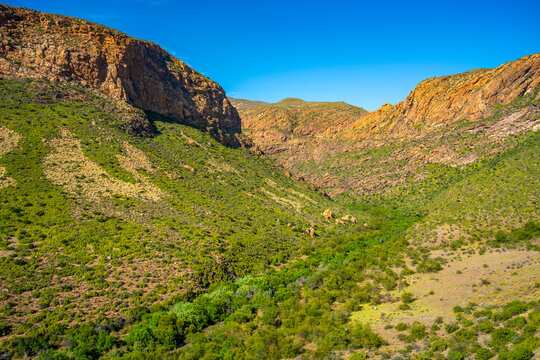 View of green mountainous landscape between Zoar and Calitzdorp
