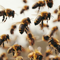 Harmony in Nature: A Colony of Bees in Flight, Displaying Cohesive Movement and Dynamic Formation