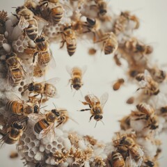 Honeycomb Hive: A Close-up of Buzzy Bees and their Pollen Gathering Process