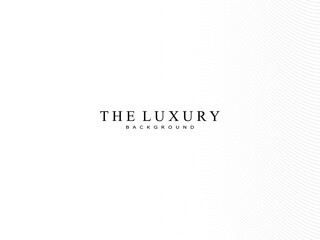 Premium background design with gray gradient white diagonal stripe pattern. Vector white horizontal template for business banner, invitation background, luxury voucher, gift certificate, etc.
