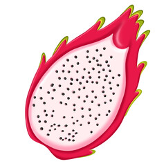 cut half and whole dragon fruit, Summer tropical fruit, cartoon  icon. illustration sketch isolated on transparent background