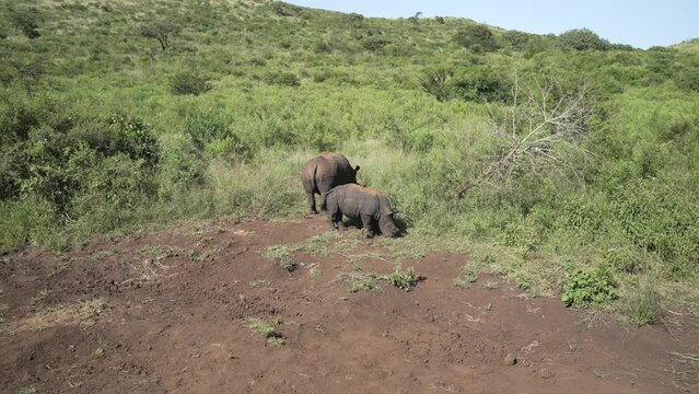 186 Africa
