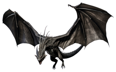 PNG Black dragon animal wing white background